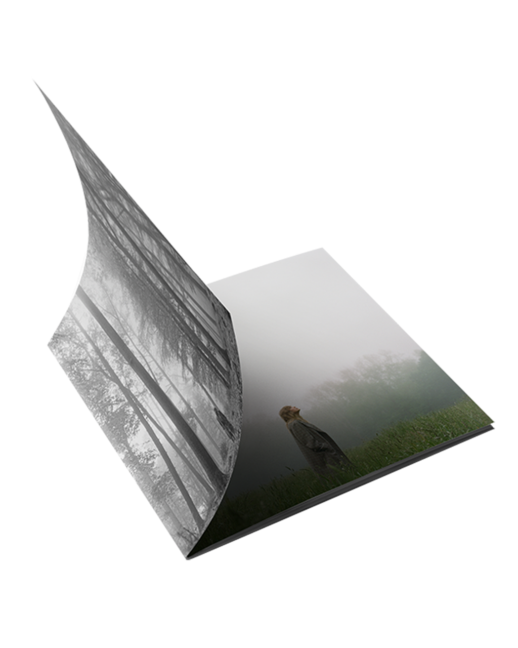 1. the "in the trees" Edition Deluxe CD (Clean)